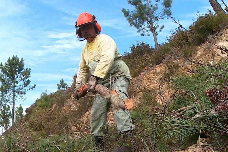 Equipas têm andado no terreno mas os trabalhos atrasaram devido à falta de mão de obra e ao mau tempo