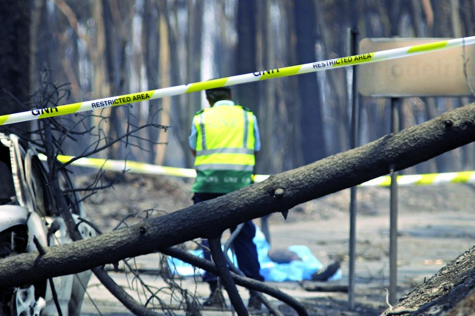 Atribuição dos 3,409 milhões de euros a 157 familiares das vítimas dos fogos foi feita por fundo de seguradoras 