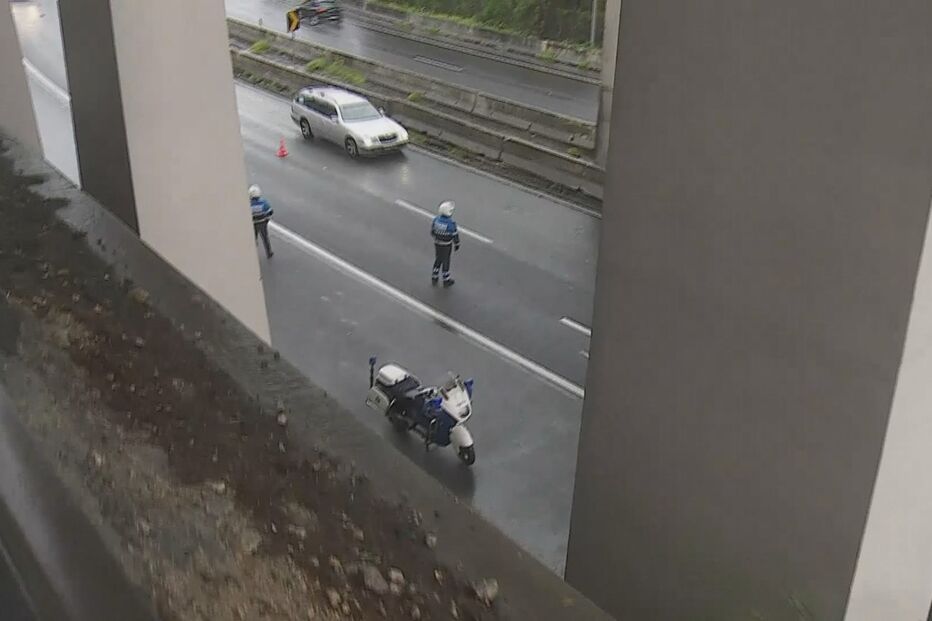 faixa, estrada, arvore