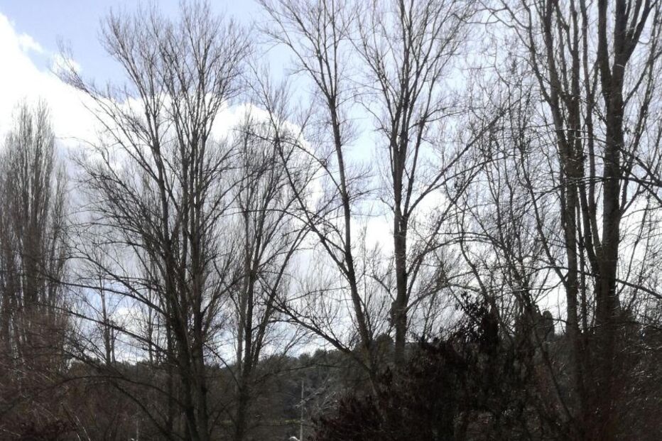 Zêzere galgou as margens de parque de estacionamento em Constância, perto da confluência com o Tejo