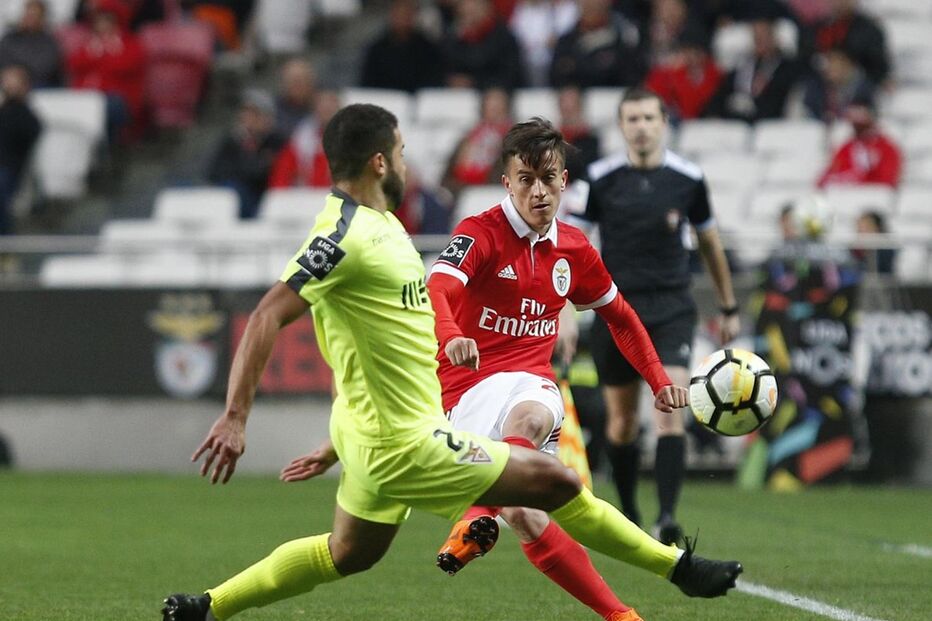 Benfica e Desportivo das Aves jogaram este sábado no Estádio da Luz	
