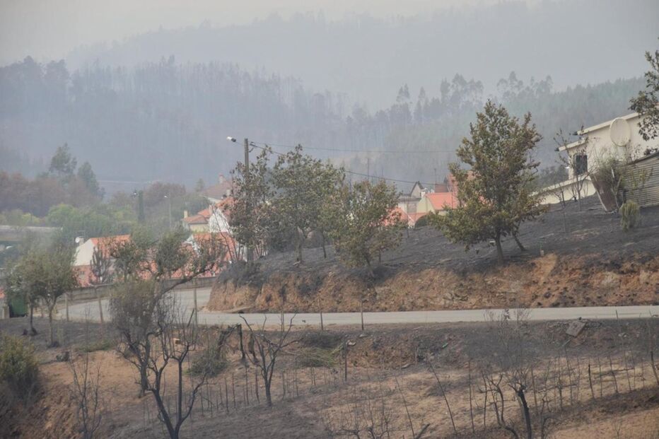 Destruição causada pelo fogo em Arganil
