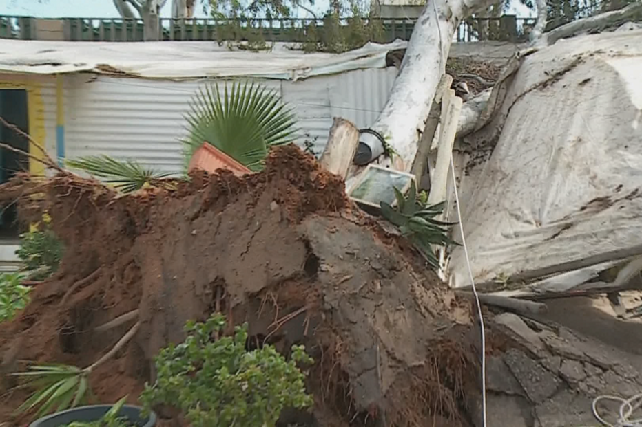 Árvore cai sobre casa e desaloja família em Faro