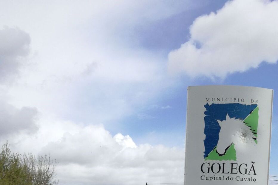 Estrada Nacional 365 entre Pombalinho e Vale de Figueira