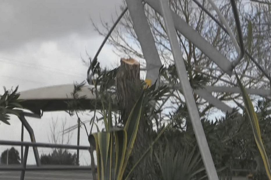 Vento derruba cobertura no Lidl de Beja