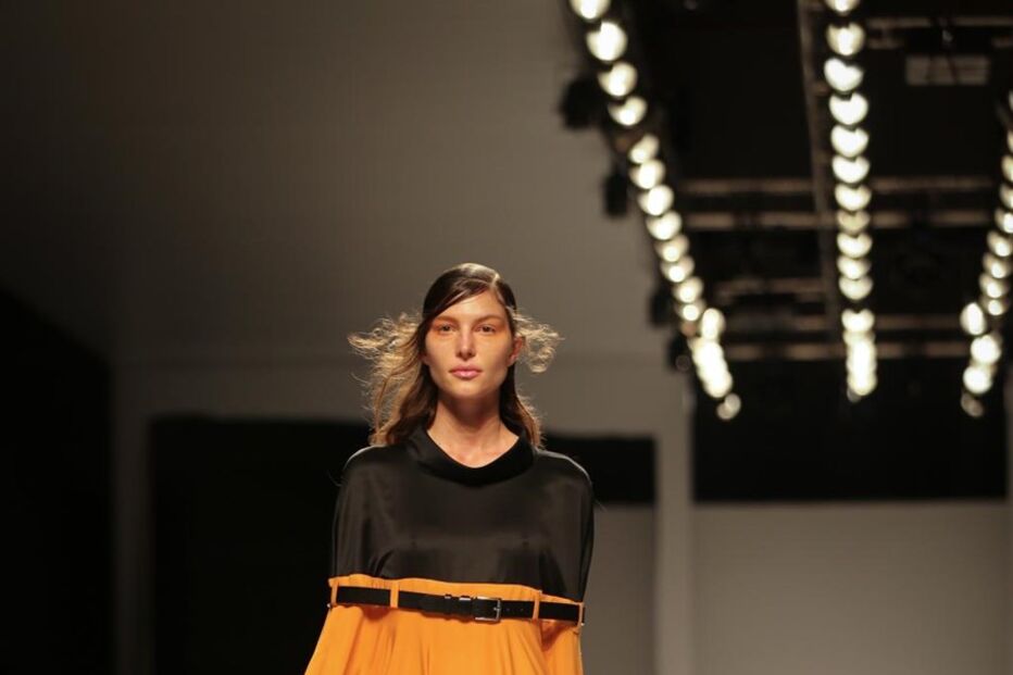 Desfile de Dino Alves