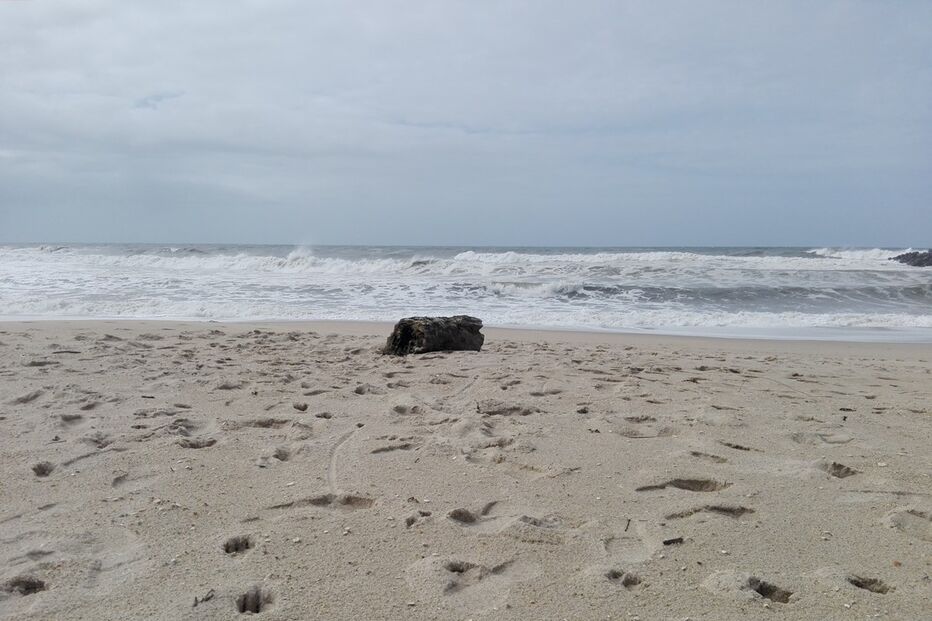 Fardo de droga encontrado na Praia da Baía, em Espinho
