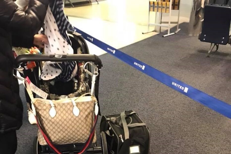 Animal morreu durante a viagem