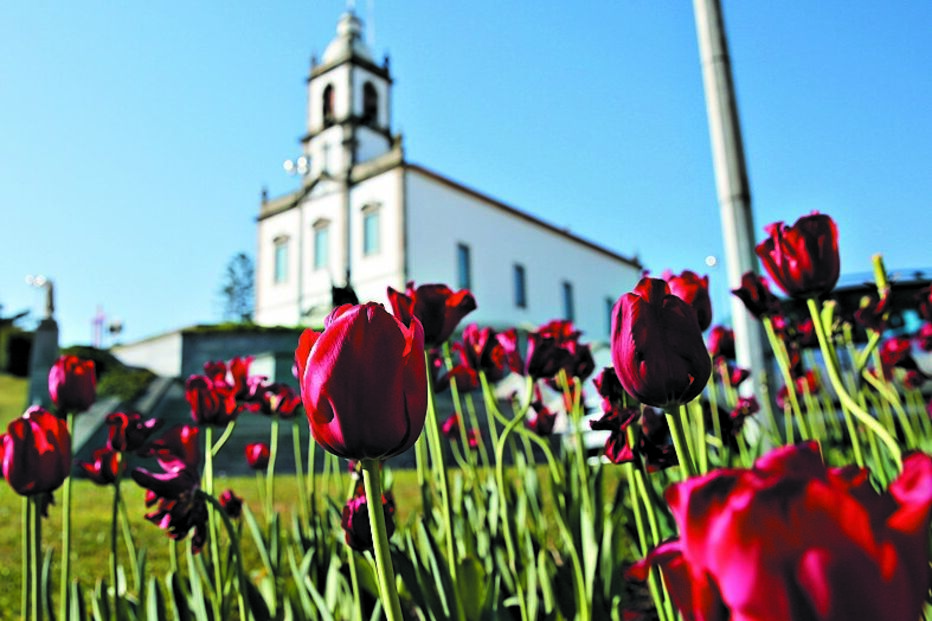 são joão da madeira, Museu do Calçado, Circuito do Turismo Industrial, Calçado