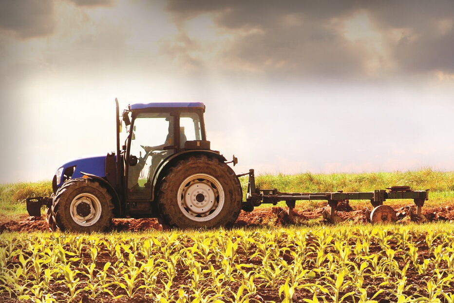 Prémio Nacional de Agricultura