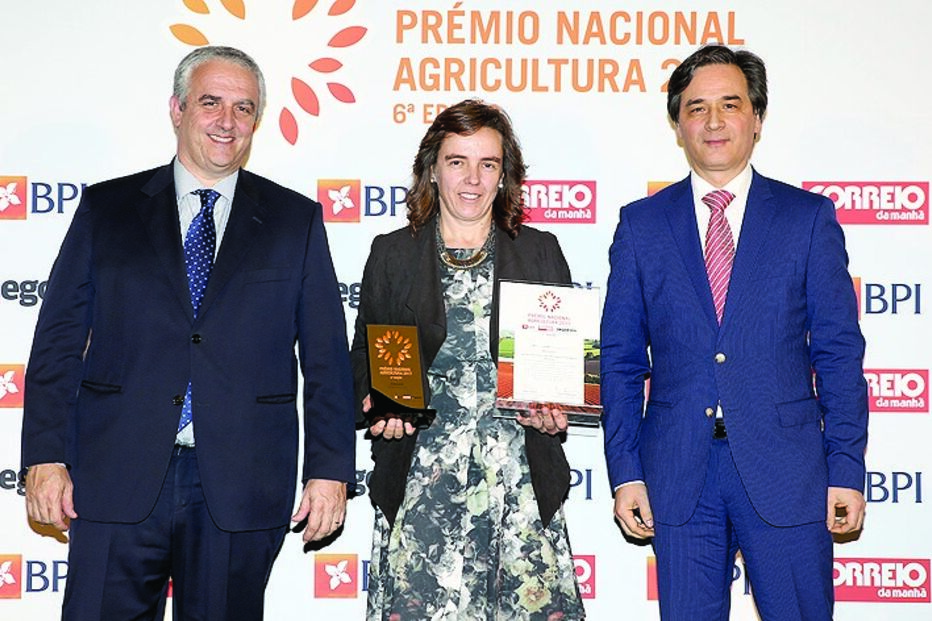 Prémio empresas, vencedor: Montiqueijo