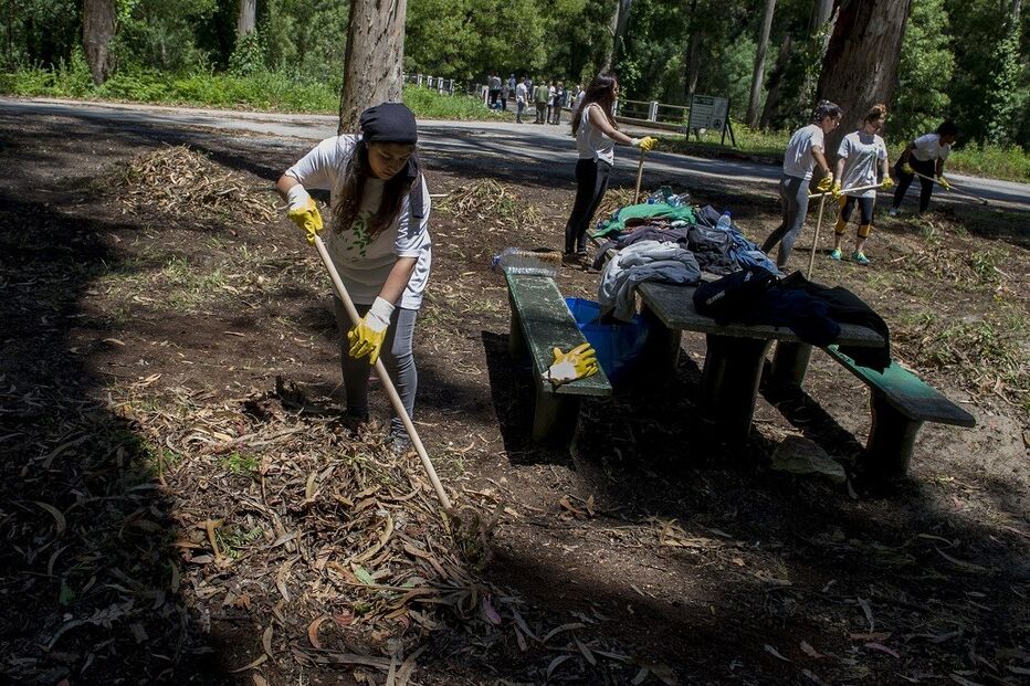 donos, matas, Ministro da Agricultura, terrenos, floresta, combustíveis, incêndio, fogo