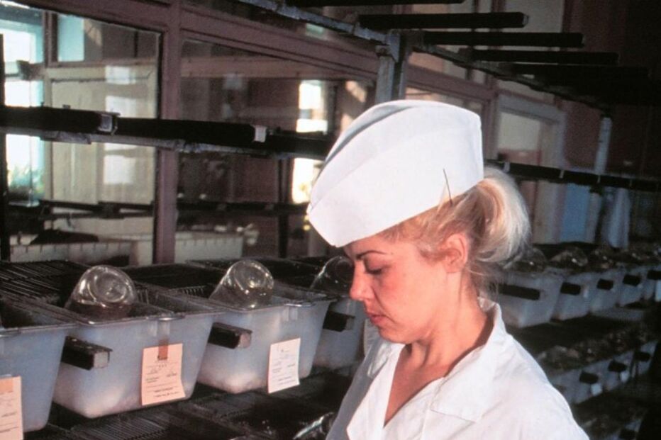 Cães, Tortura, agente nervoso, Exército Vermelho