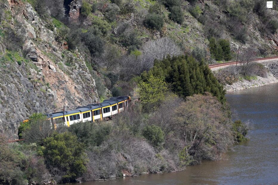 Composição ficou parada na linha, perto do apeadeiro de Ferrão, em Sabrosa 