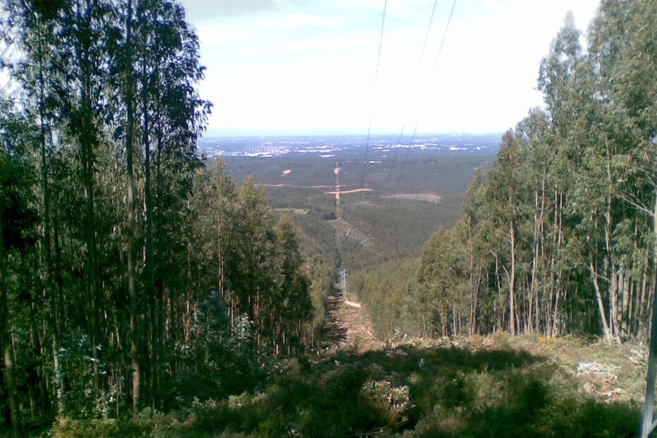 2018-03-21_20_12.26 05052011.jpg