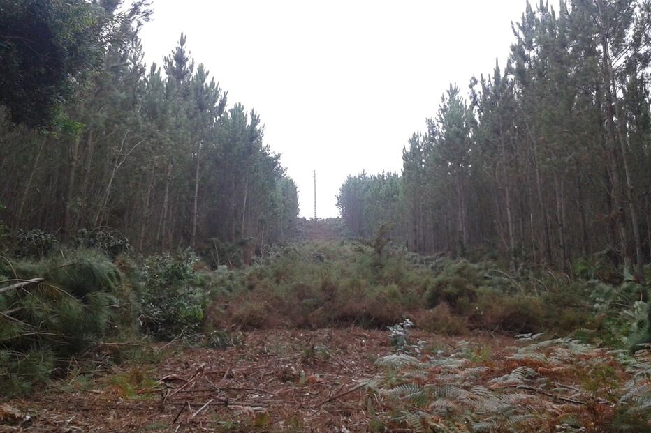 2018-03-21_20_12.27 20140812_151221.jpg