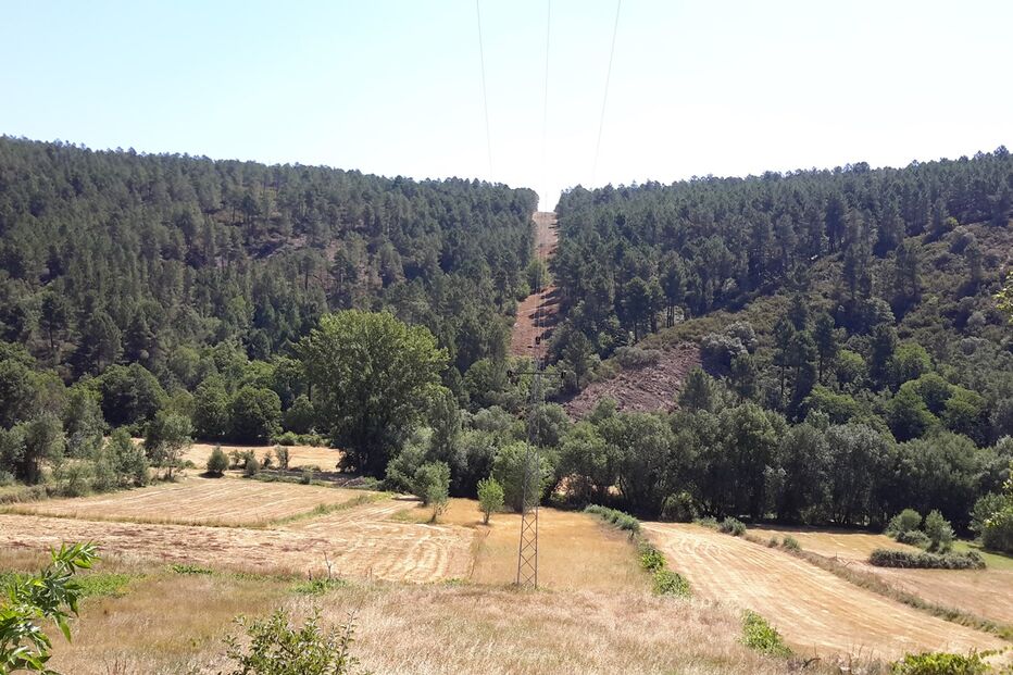 2018-03-21_20_12.37 P_Tresminas_20170720_120039.jpg