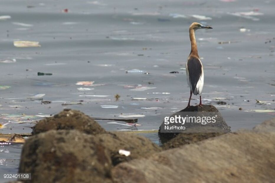Lixo plástico nos oceanos