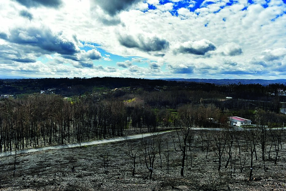 Todas  as freguesias de Tondela  foram afetadas pelo incêndio  de 15 de outubro de 2017 