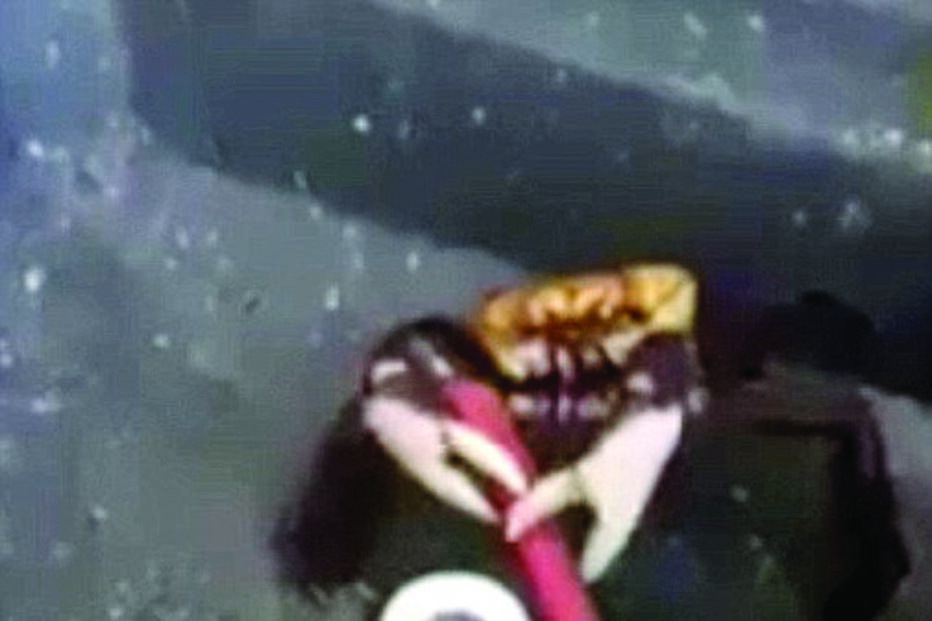 Caranguejo não quer ser cozinhado e luta pela vida  