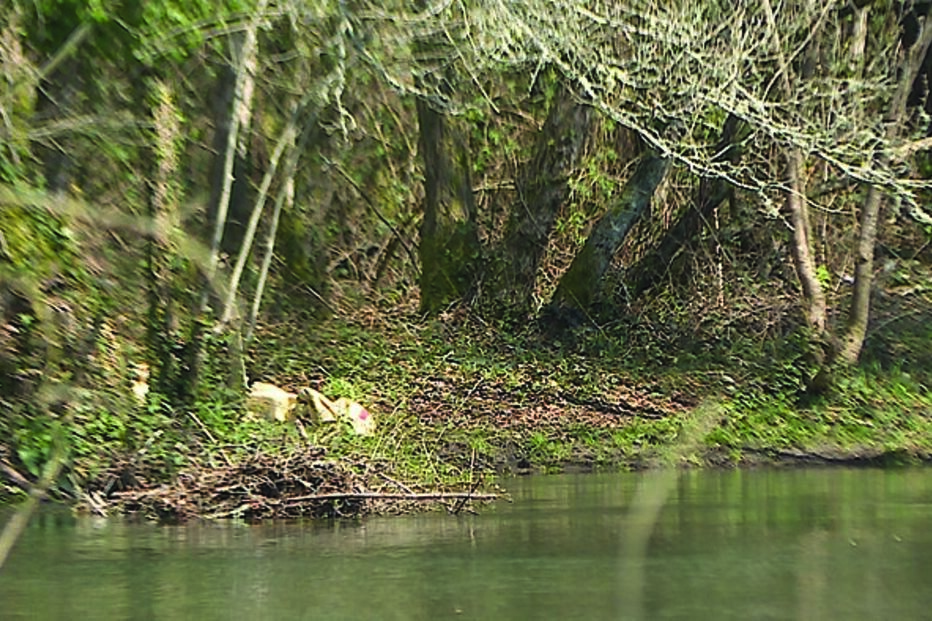 Vítima estaria a pescar no rio Coura 