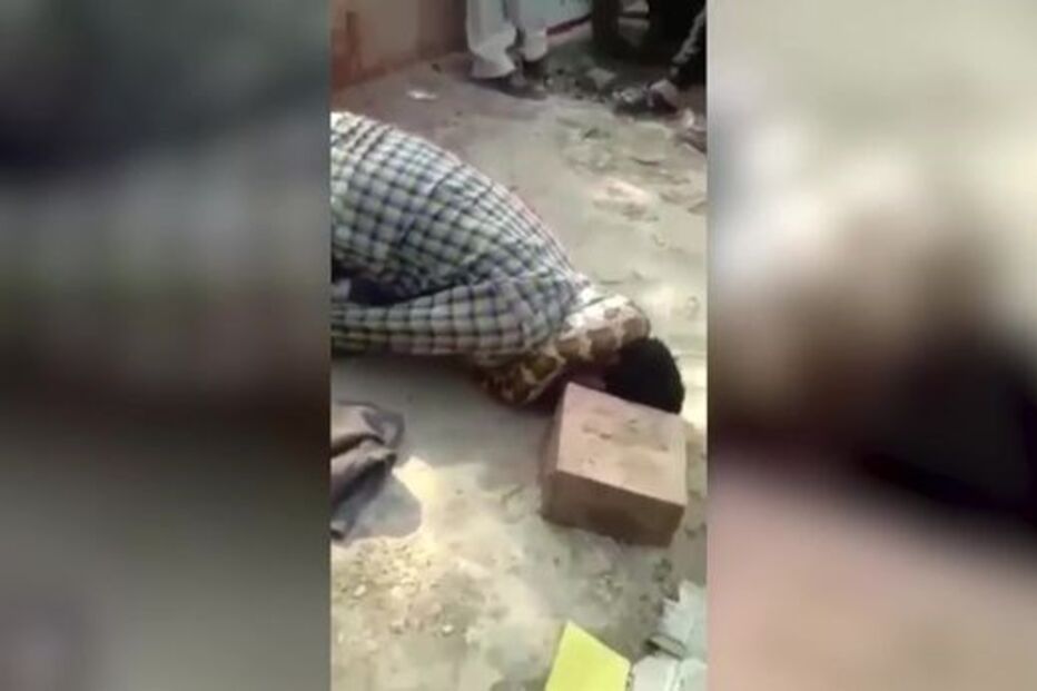 Píton, Pitão, cobra, Índia