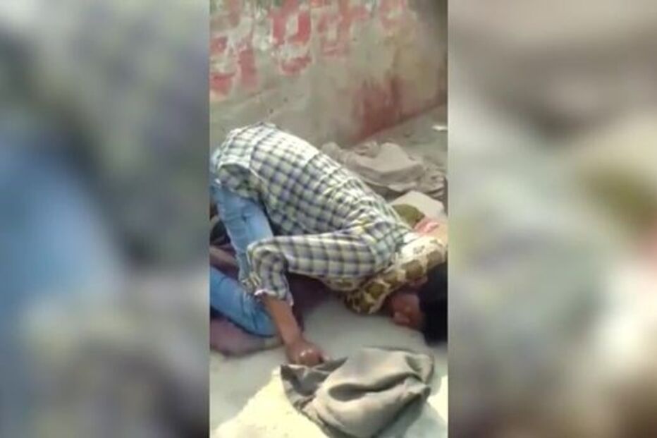 Píton, Pitão, cobra, Índia