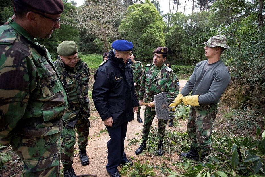 Maria Arminda Vicente, idosa, mortes, coimbra, tragédia, outubro, fogo, incêndios, vítima mortal