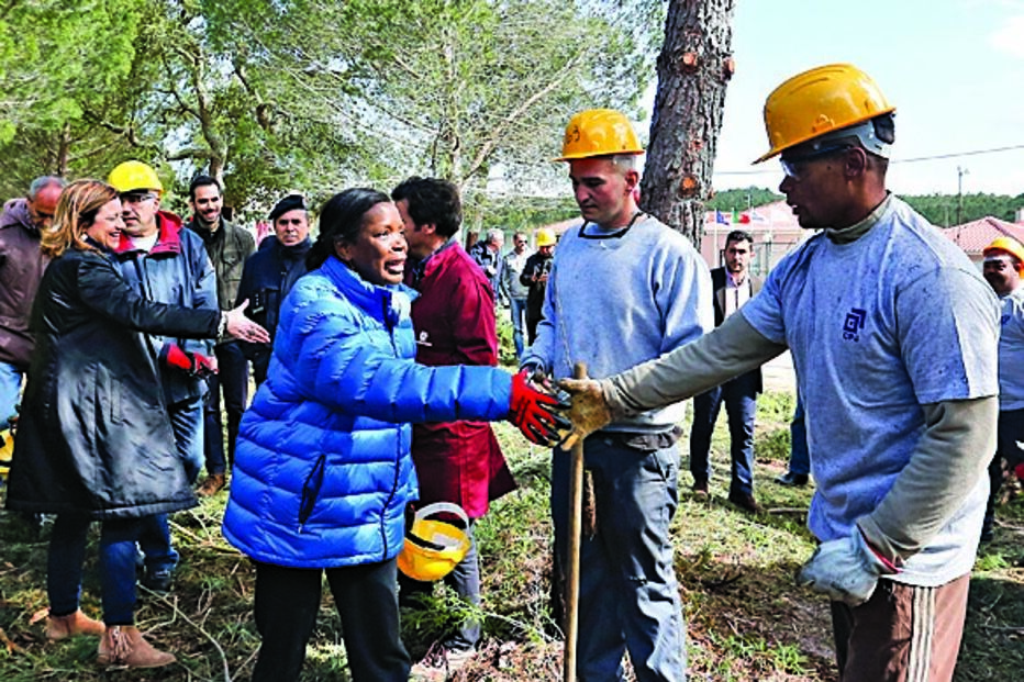 Maria Arminda Vicente, idosa, mortes, coimbra, tragédia, outubro, fogo, incêndios, vítima mortal