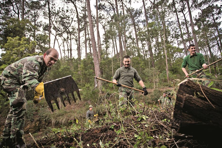 2018-03-26_01_44.44 6a.jpg