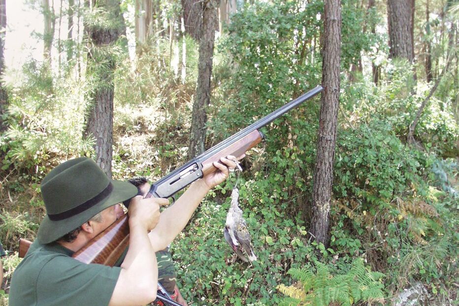 Ambientalistas reclamam medidas mais apertadas para a prática da caça 
