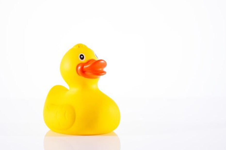 Patos amarelos de borracha