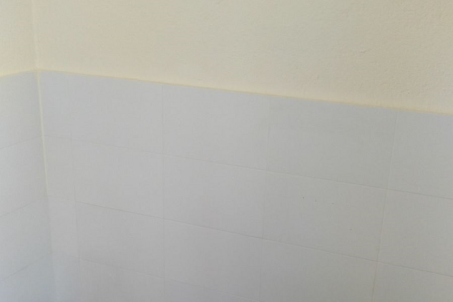 Cães-polícia com vida facilitada em Madrid