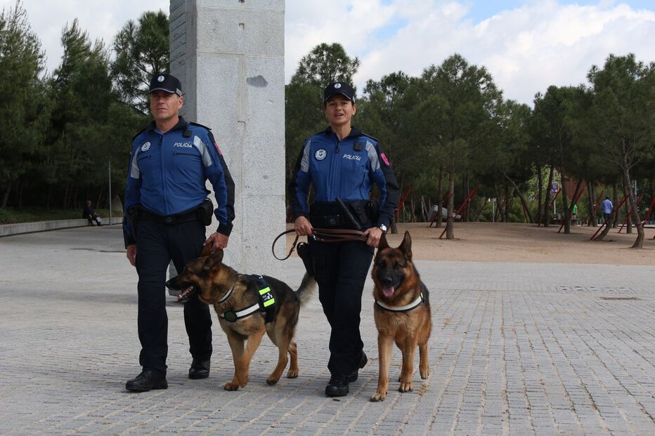 Cães-polícia com vida facilitada em Madrid