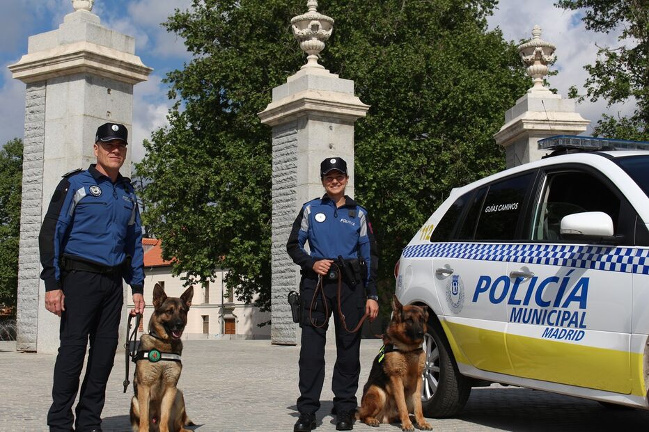 Cães-polícia com vida facilitada em Madrid