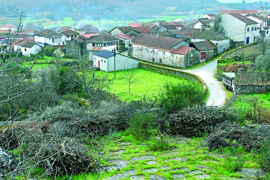 Inspeções anuais a propriedades rurais são uma sugestão