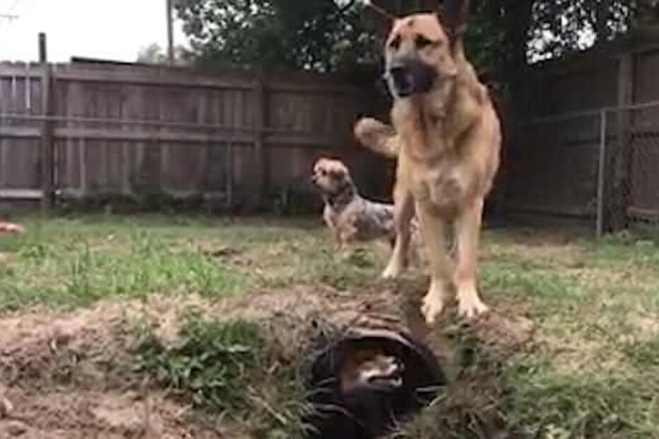 2018-03-30_23_23.41 4AB09BCC00000578-0-image-a-2_1522405567986.jpg