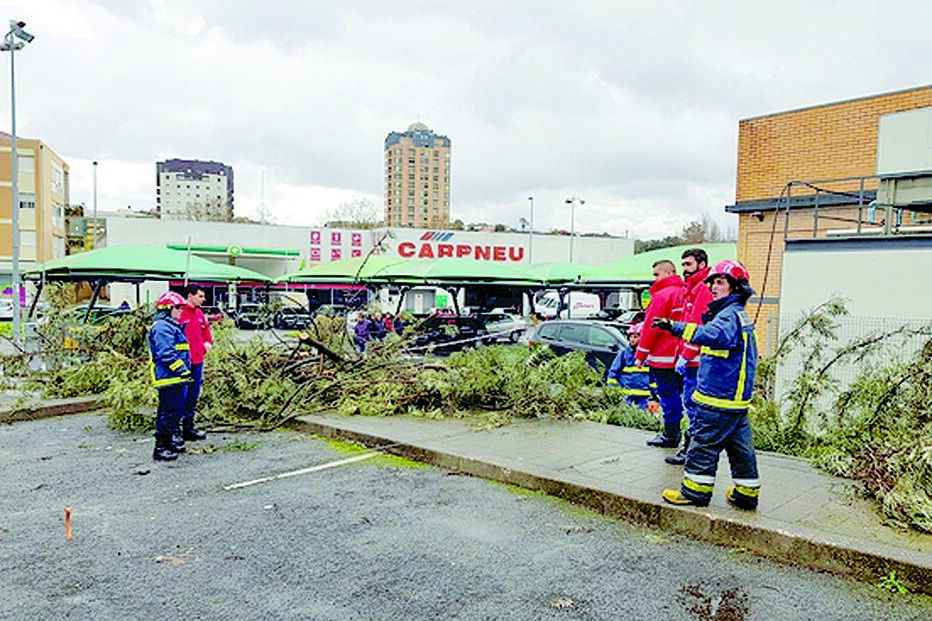 Queda de árvore ocorreu no parque do Pingo Doce de Vila Nova de Famalicão 