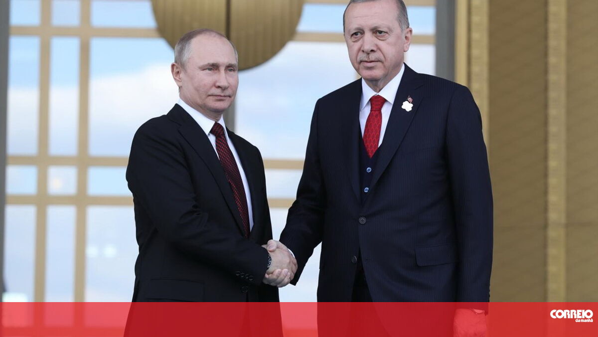 Putin and Erdogan meet on August 5 in Russia to discuss the situation in Ukraine