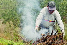 Limpezas a fazer até maio