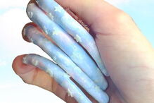 Estudante exibe unhas de 15 centímetros nas redes sociais