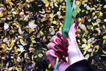 Estudante exibe unhas de 15 centímetros nas redes sociais