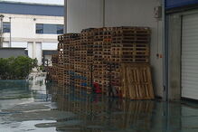 Empresa assaltada no MARL de Lisboa