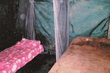 Conheça a ‘Quinta do Incesto’