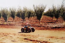 Conheça a ‘Quinta do Incesto’