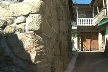 Homem criado por lobos diz que está 