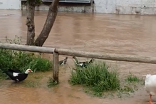 Mau tempo provoca cheias em Aljezur