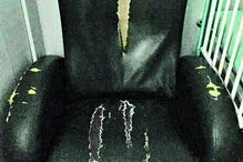 Cadeirão destinado aos pais dos menores