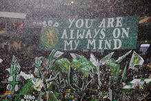 As melhores imagens do Sporting-Atlético de Madrid