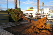 Temporal em Albufeira